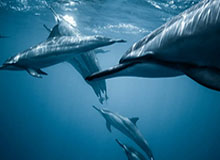 九游APP下载-两支国青再内战“大哥”3比0胜 今日结束海口集训